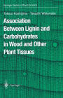 Association Between Lignin and Carbohydrates in Wood and Other Plant Tissues / Edition 1