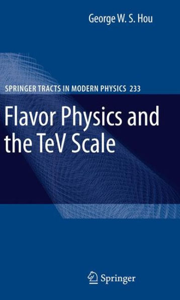 Flavor Physics and the TeV Scale / Edition 1
