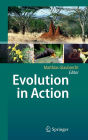 Evolution in Action: Case studies in Adaptive Radiation, Speciation and the Origin of Biodiversity