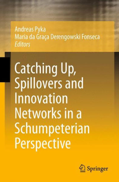 Catching Up, Spillovers and Innovation Networks in a Schumpeterian Perspective / Edition 1