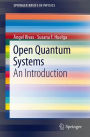 Open Quantum Systems: An Introduction
