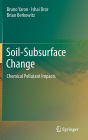 Soil-Subsurface Change: Chemical Pollutant Impacts