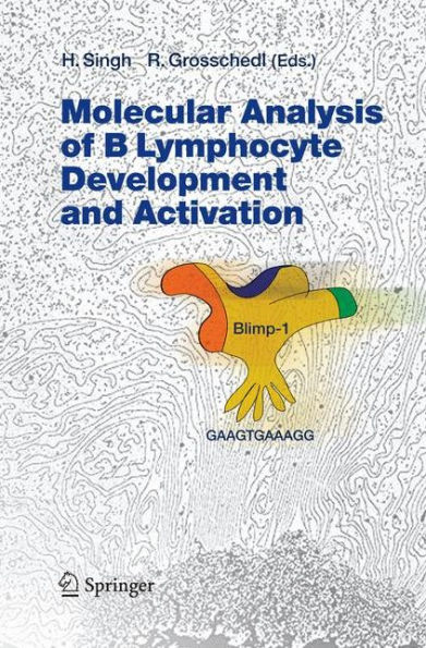 Molecular Analysis of B Lymphocyte Development and Activation / Edition 1
