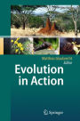 Evolution in Action: Case studies in Adaptive Radiation, Speciation and the Origin of Biodiversity