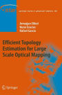 Efficient Topology Estimation for Large Scale Optical Mapping