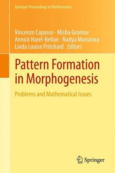 Pattern Formation Morphogenesis: Problems and Mathematical Issues