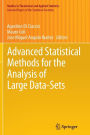 Advanced Statistical Methods for the Analysis of Large Data-Sets