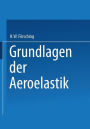 Grundlagen der Aeroelastik