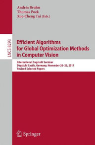 Title: Efficient Algorithms for Global Optimization Methods in Computer Vision: International Dagstuhl Seminar, Dagstuhl Castle, Germany, November 20-25, 2011, Revised Selected Papers, Author: Andrés Bruhn