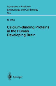 Title: Calcium-Binding Proteins in the Human Developing Brain, Author: N. Ulfig