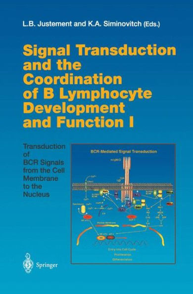 Signal Transduction and the Coordination of B Lymphocyte Development and Function I: Transduction of BCR Signals from the Cell Membrane to the Nucleus