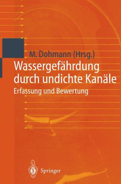 Wassergefährdung durch undichte Kanäle: Erfassung und Bewertung