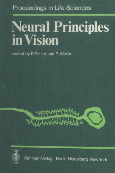 Neural Principles in Vision