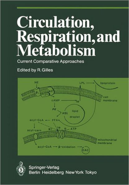 Circulation, Respiration, and Metabolism: Current Comparative Approaches / Edition 1