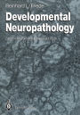 Developmental Neuropathology