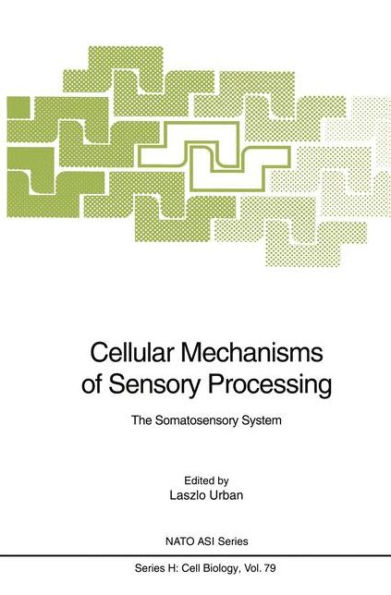 Cellular Mechanisms of Sensory Processing: The Somatosensory System / Edition 1