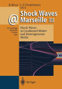 Shock Waves @ Marseille III: Shock Waves in Condensed Matter and Heterogeneous Media