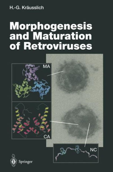 Morphogenesis and Maturation of Retroviruses / Edition 1