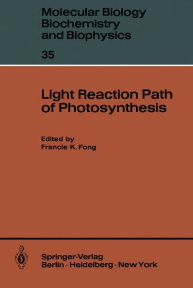 Light Reaction Path of Photosynthesis