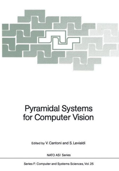 Pyramidal Systems for Computer Vision