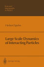 Large Scale Dynamics of Interacting Particles