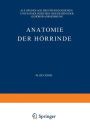 Anatomie der Hörrinde: Als Grundlage des Physiologischen und Pathologischen Geschehens der Gehörswahrnehmung