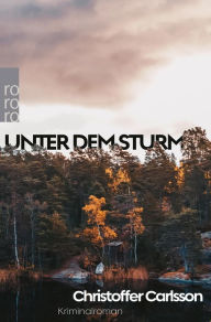 Title: Unter dem Sturm: Kriminalroman Die Nummer 1 aus Schweden, Author: Christoffer Carlsson