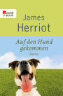 Auf den Hund gekommen: Zehn tierische Geschichten