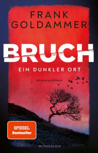 Title: Bruch: Ein dunkler Ort, Author: Frank Goldammer