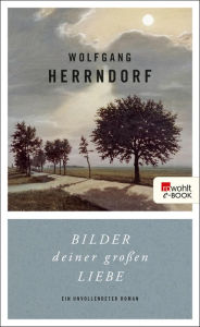 Title: Bilder deiner großen Liebe: Ein unvollendeter Roman, Author: Wolfgang Herrndorf