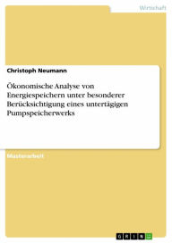 Title: Ökonomische Analyse von Energiespeichern unter besonderer Berücksichtigung eines untertägigen Pumpspeicherwerks, Author: Christoph Neumann