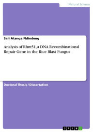 Title: Analysis of Rhm51, a DNA Recombinational Repair Gene in the Rice Blast Fungus, Author: Sali Atanga Ndindeng