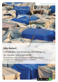 Title: Unbegleitete minderjährige Flüchtlinge in der Kinder- und Jugendhilfe: Wie bedürfnisgerecht sind vorhandene Einrichtungen? Welche konzeptionellen Anforderungen gilt es zu erfüllen?, Author: Silke Bachert