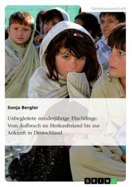 Title: Unbegleitete minderjährige Flüchtlinge. Vom Aufbruch im Herkunftsland bis zur Ankunft in Deutschland, Author: Sonja Bergler