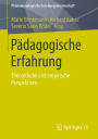 Pï¿½dagogische Erfahrung: Theoretische und empirische Perspektiven