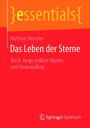 Das Leben der Sterne: Teil II: Junge stellare Objekte und Sternenalltag