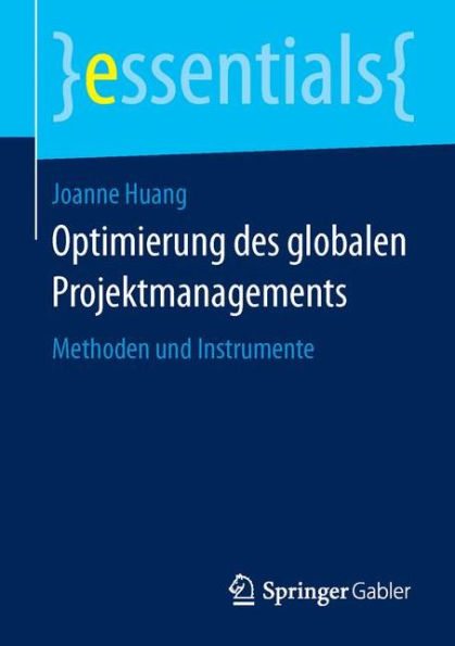 Optimierung des globalen Projektmanagements: Methoden und Instrumente