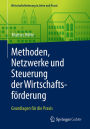 Methoden, Netzwerke und Steuerung der Wirtschaftsförderung: Grundlagen für die Praxis