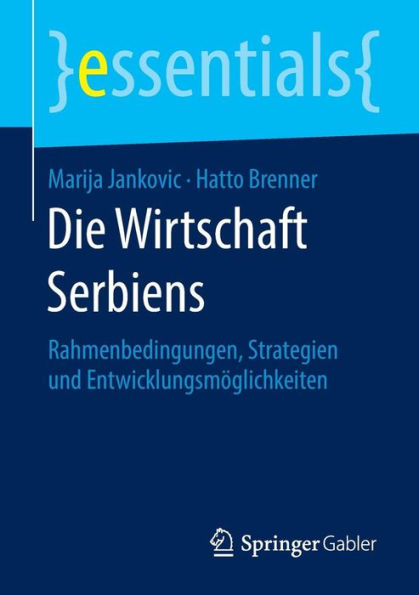 Die Wirtschaft Serbiens: Rahmenbedingungen, Strategien und Entwicklungsmöglichkeiten