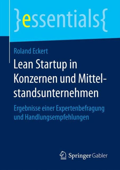 Lean Startup in Konzernen und Mittelstandsunternehmen: Ergebnisse einer Expertenbefragung und Handlungsempfehlungen
