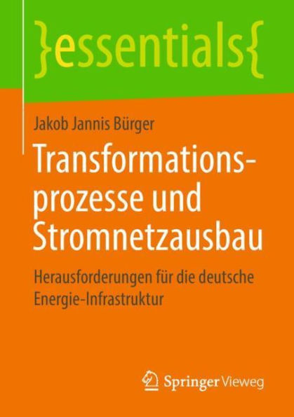 Transformationsprozesse und Stromnetzausbau: Herausforderungen fï¿½r die deutsche Energie-Infrastruktur