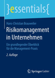 Title: Risikomanagement in Unternehmen: Ein grundlegender Überblick für die Management-Praxis, Author: Hans-Christian Brauweiler