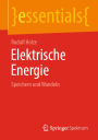 Elektrische Energie: Speichern und Wandeln