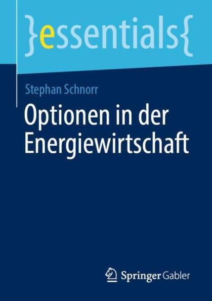 Optionen der Energiewirtschaft