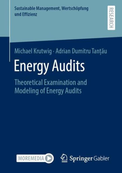 Energy Audits: Theoretical Examination and Modeling of Energy Audits