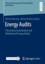 Energy Audits: Theoretical Examination and Modeling of Energy Audits