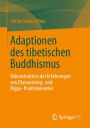 Adaptionen des tibetischen Buddhismus: Rekonstruktion der Erfahrungen von Diamantweg- und Rigpa-Praktizierenden