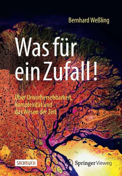 Was für ein Zufall!: Über Unvorhersehbarkeit, Komplexität und das Wesen der Zeit