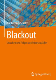 Title: Blackout: Ursachen und Folgen von Stromausfï¿½llen, Author: Karl Friedrich Schïfer