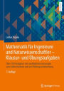 Mathematik für Ingenieure und Naturwissenschaftler - Klausur- und Übungsaufgaben: Über 700 Aufgaben mit ausführlichen Lösungen zum Selbststudium und zur Prüfungsvorbereitung